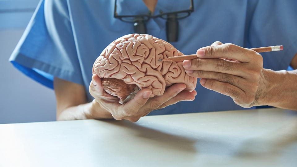 Brain Specialist
