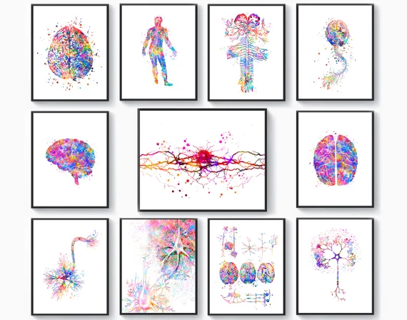 Neurogenetics In Nagpur
