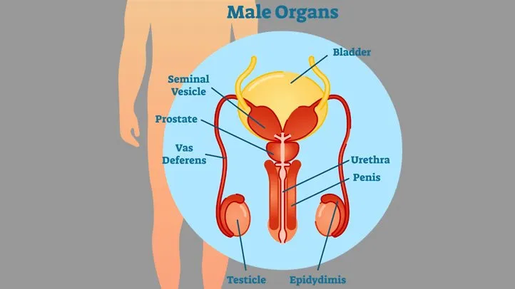 Prostate enlargement in nagpur