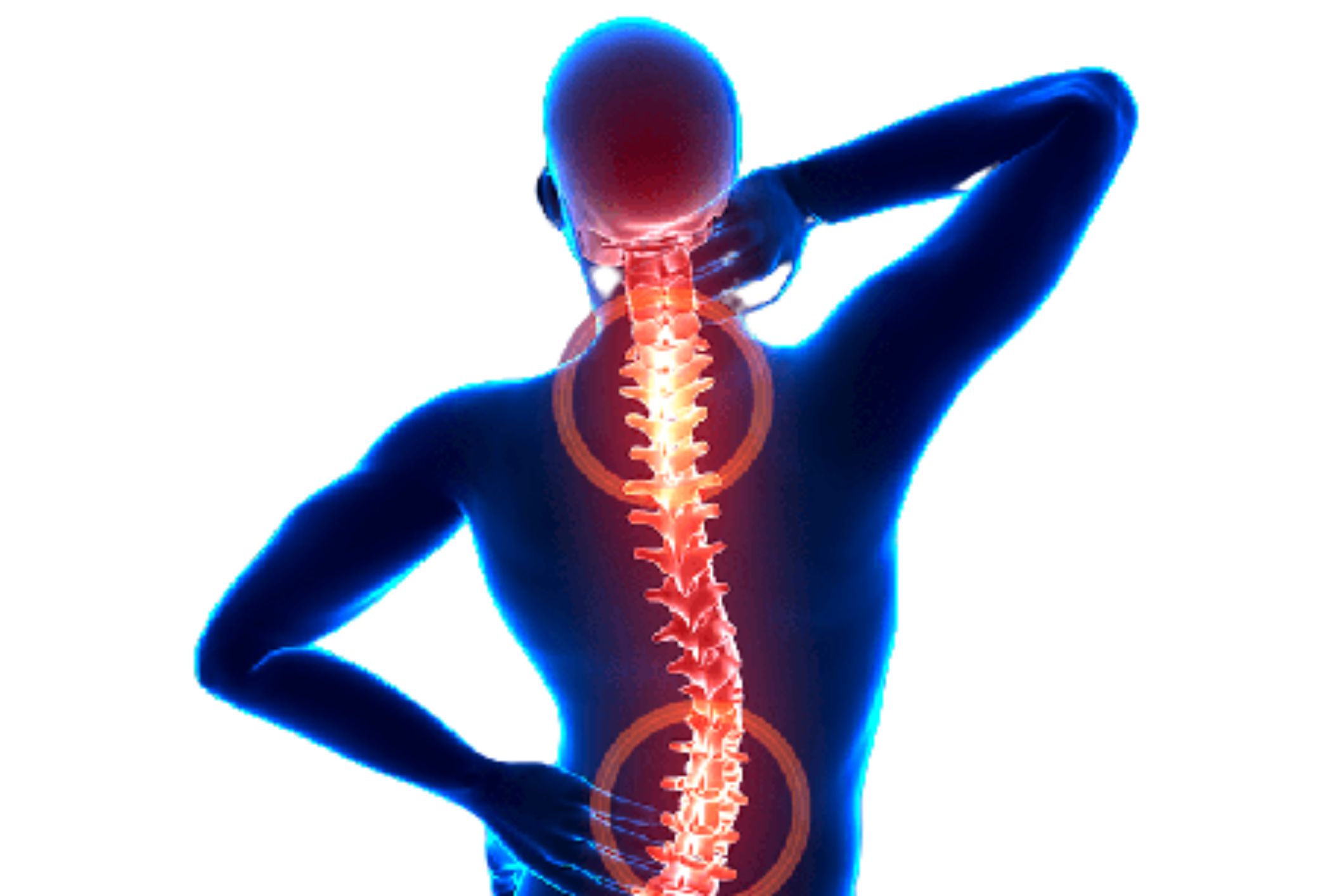 Spine specialist in durg