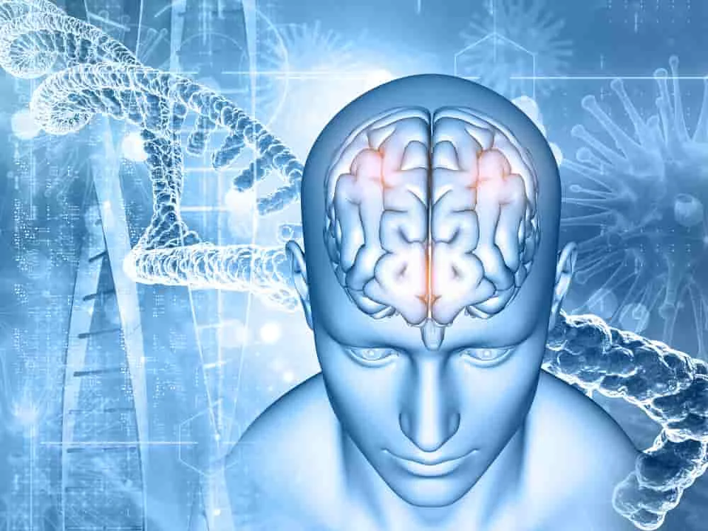 Neuro surgeon in satna