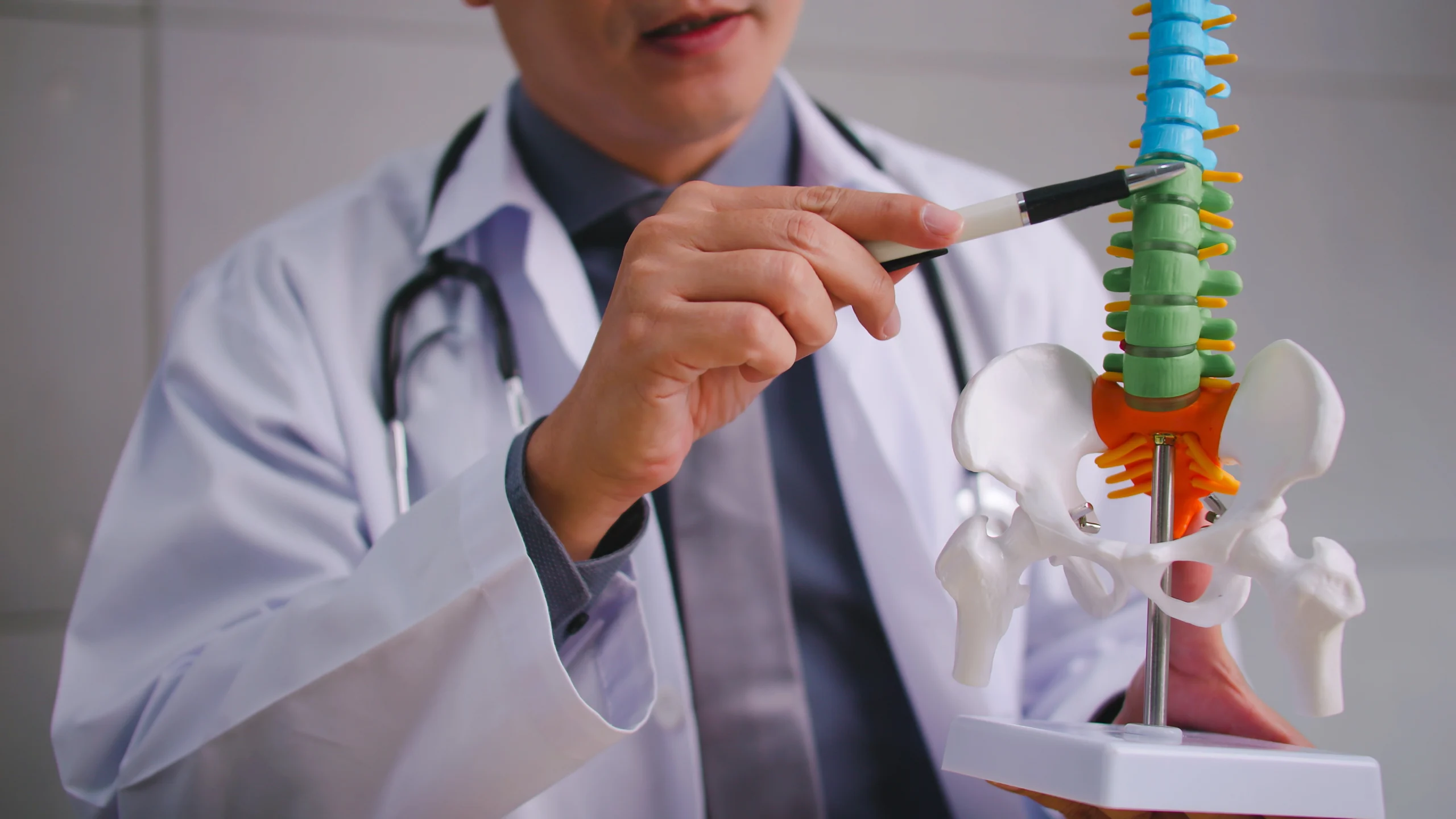 Spine specialist in shahdol